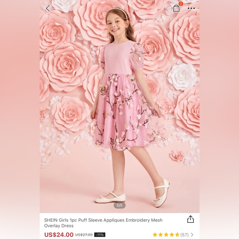 Girls Pink Floral Embroidered Dress